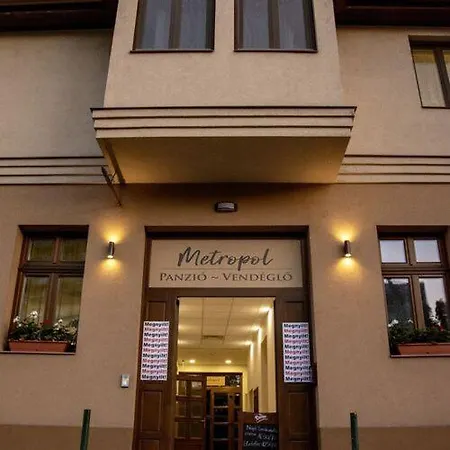 بيت ضيافة Metropol Panzio