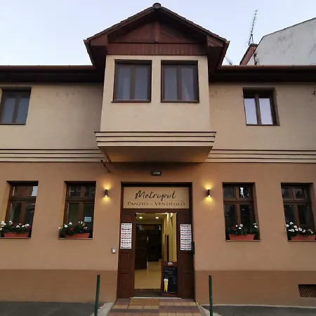 Metropol Panzio *